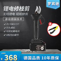 Electric scissors branch scissors hand-held electric pruning scissors lithium rechargeable garden gardening fruit picking scissors fruit picking scissors fruit picking scissors fruit picking scissors fruit picking scissors fruit picking scissors fruit picking scissors
