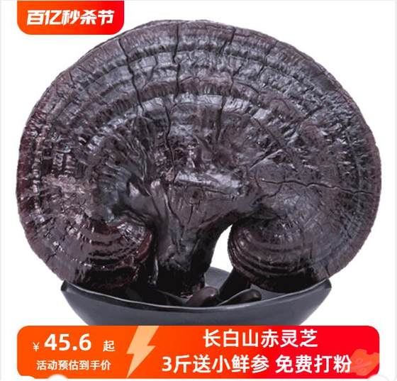 Lindao Changbai Mountain Ganoderma lucidum basswood purple red Ganoderma lucidum Linzhi lingzhi 1KG can be powdered for free