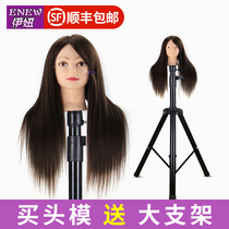 Full true hair head model apprentice head model fake head model fake hair bracket haircut doll head