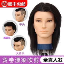 Hairdressing head model head mens dummy head short hair can be dyed full real hair head model hair salon special doll head