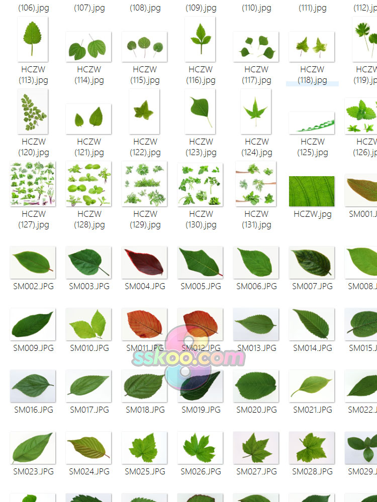 绿色叶片落叶树叶叶子绿叶特写摄影照片高清图片海报设计背景素材插图7