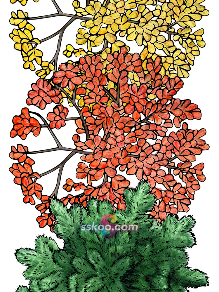 环艺顶视图树木树丛植物手绘水彩剪贴画插画PNG免扣背景透明素材插图7