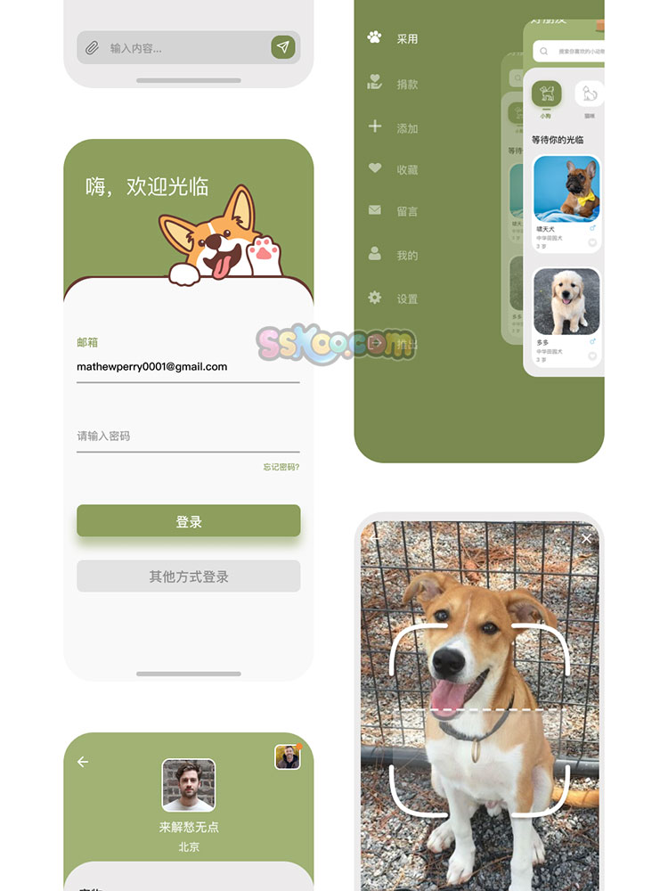 宠物领养社交中文APP小程序手机界面UI设计作品figma素材fig模板插图5