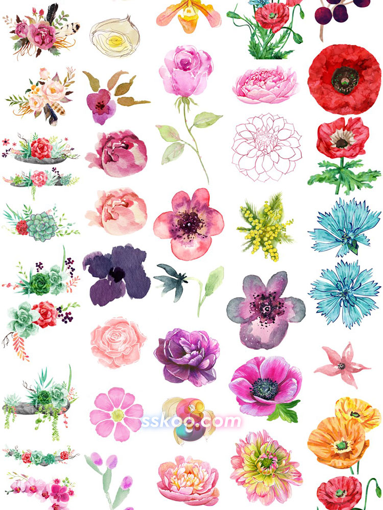 鲜花花朵花卉叶子树叶手绘水彩剪贴插画PNG免扣透明设计装饰素材插图8