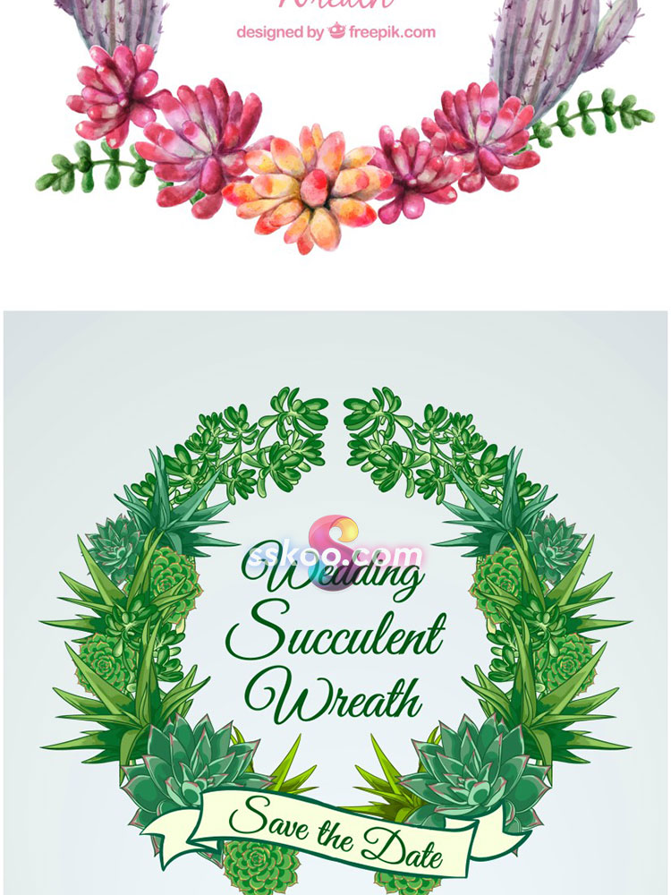 手绘仙人掌多肉植物盆栽植物场景彩铅绘画插画插图AI矢量设计素材插图13