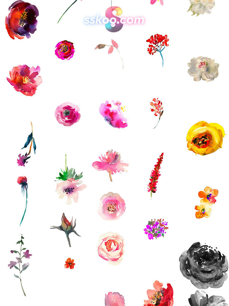 玫瑰月季花朵花卉叶子手绘水彩剪贴画插画PNG免扣设计装饰素材插图14