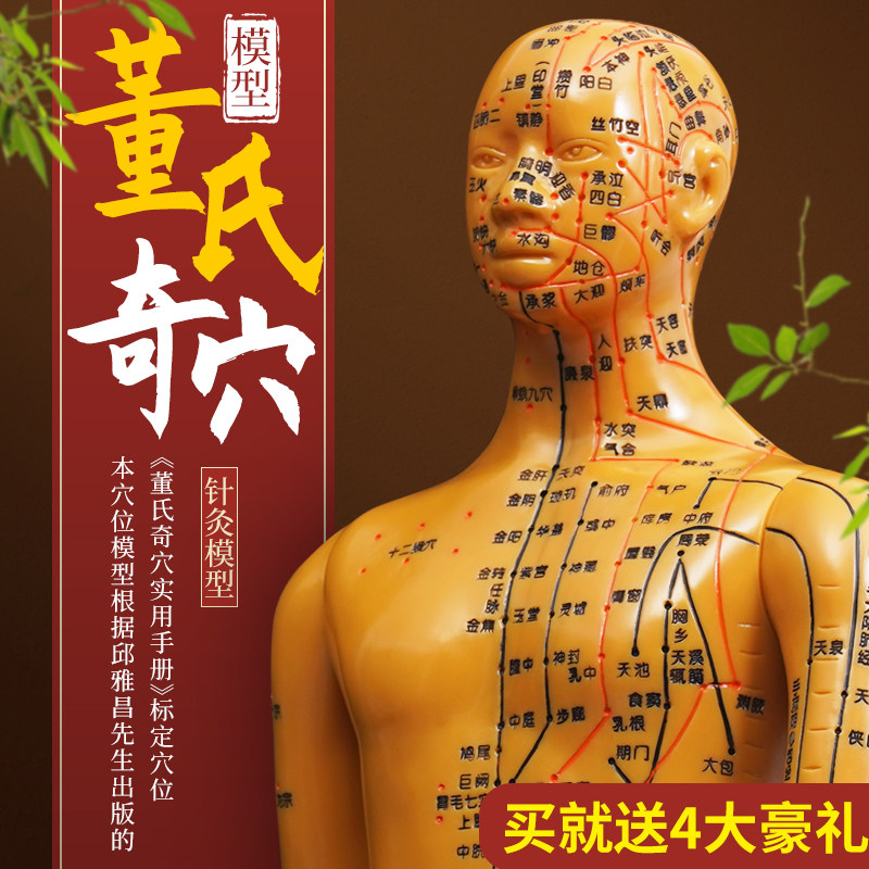 董氏奇穴针灸穴位人体模型十二经络图中医教学全身高清刻字小皮人