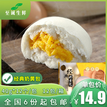 Entrance as fresh Classic Milk Yellow Bag 480g Single Package Quick-Frozen Packs Nutritious Celeri breakfast frozen semi-finished products Commercial