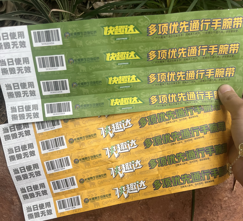 Guangzhou Zhuhai Chimelong Vip Fast-Track Admission with Multiple Privileges + Guided Tour of the Zoo and Ocean Kingdom