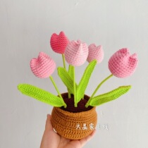 Daiji wool tulip pot pieces hook knit weaving flower bouquet novice diy handmade material bag