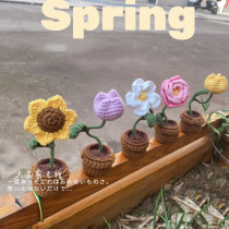 Little sweet potato mini pot spring flower office desktop tulip sunflower hand-woven material