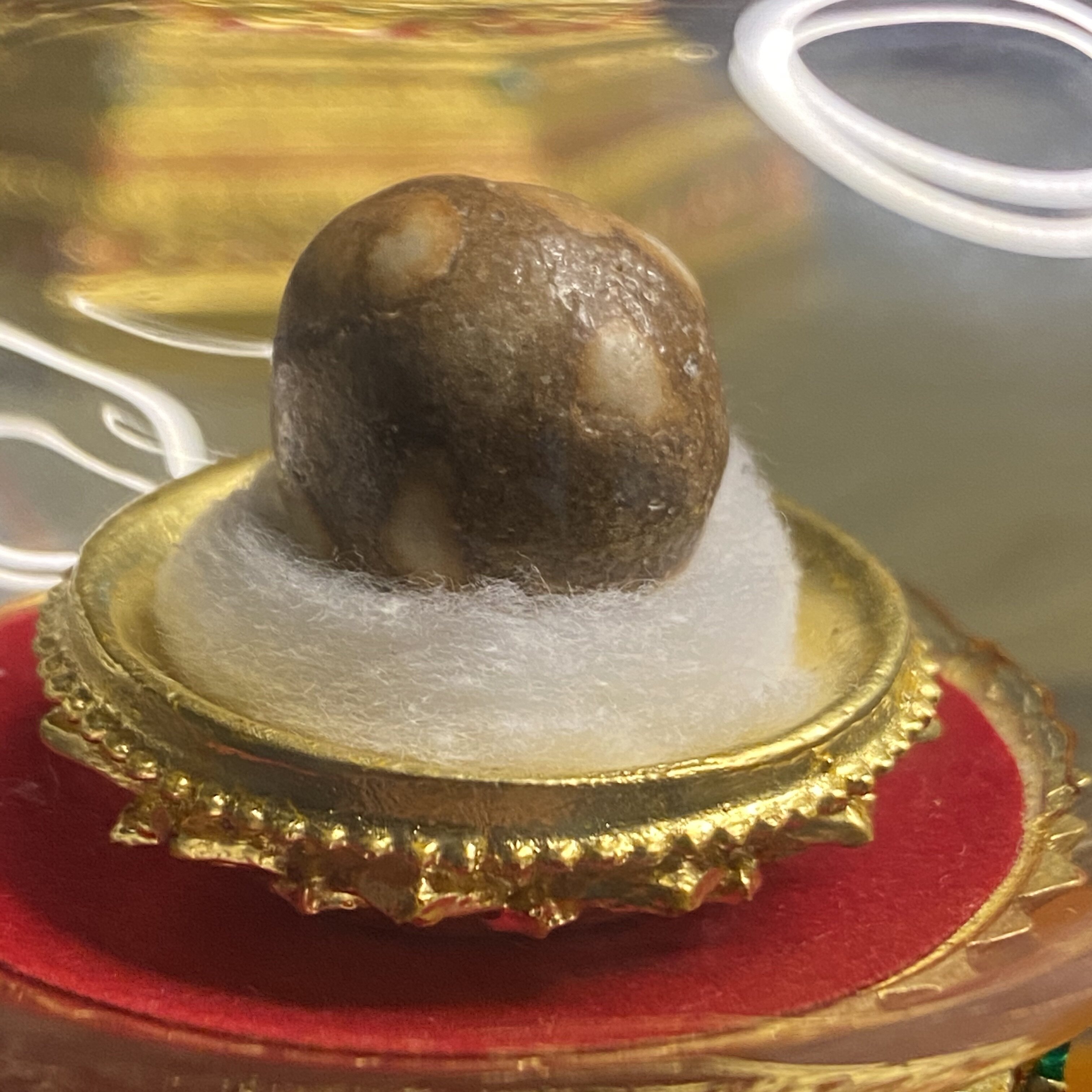 Kagyu Lineage Maba Translator Sturdy Seed Single Capsule for Stupa Gau Box Size about 18mm