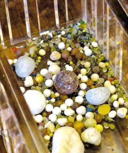 Benhwan elder is robust for shalitagau box size approb. 16mm