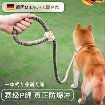 German Dog Leash Anti-Escape Leash for Walking Dogs, Anti-Escape Leash for Medium and Large Dogs