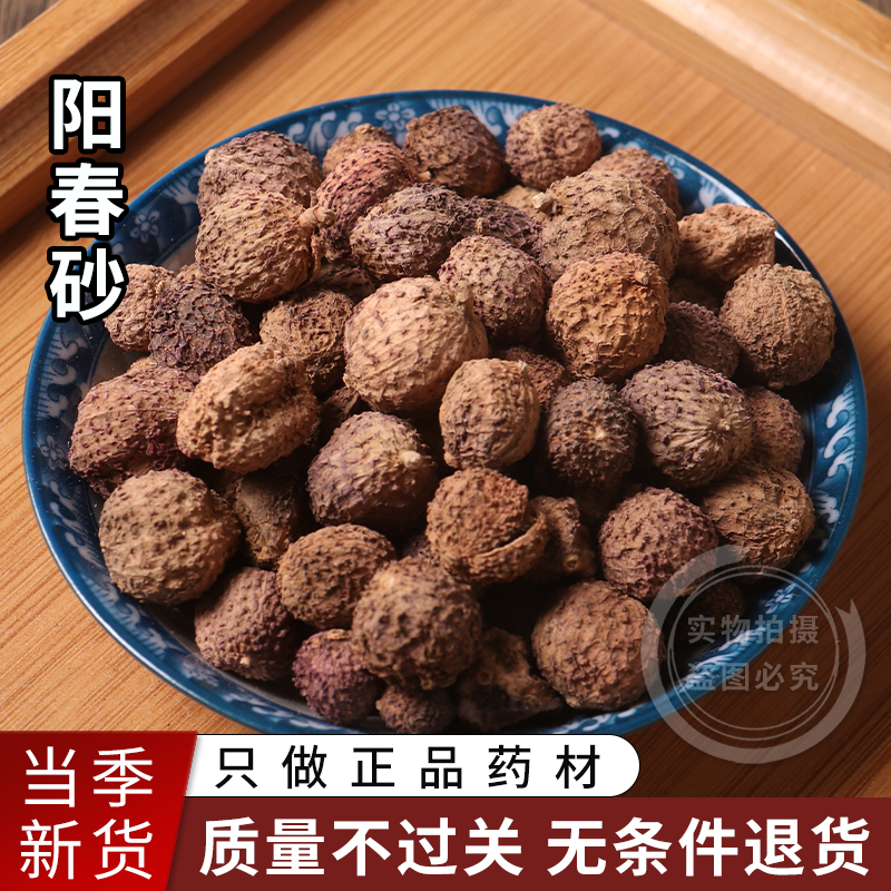 (Export Grade) Authentic Yangchunchun Amomum Amomi Yangchun Specialty Wild Guangdong Amomum Traditional Chinese Medicine Stomach Nourishing 100g