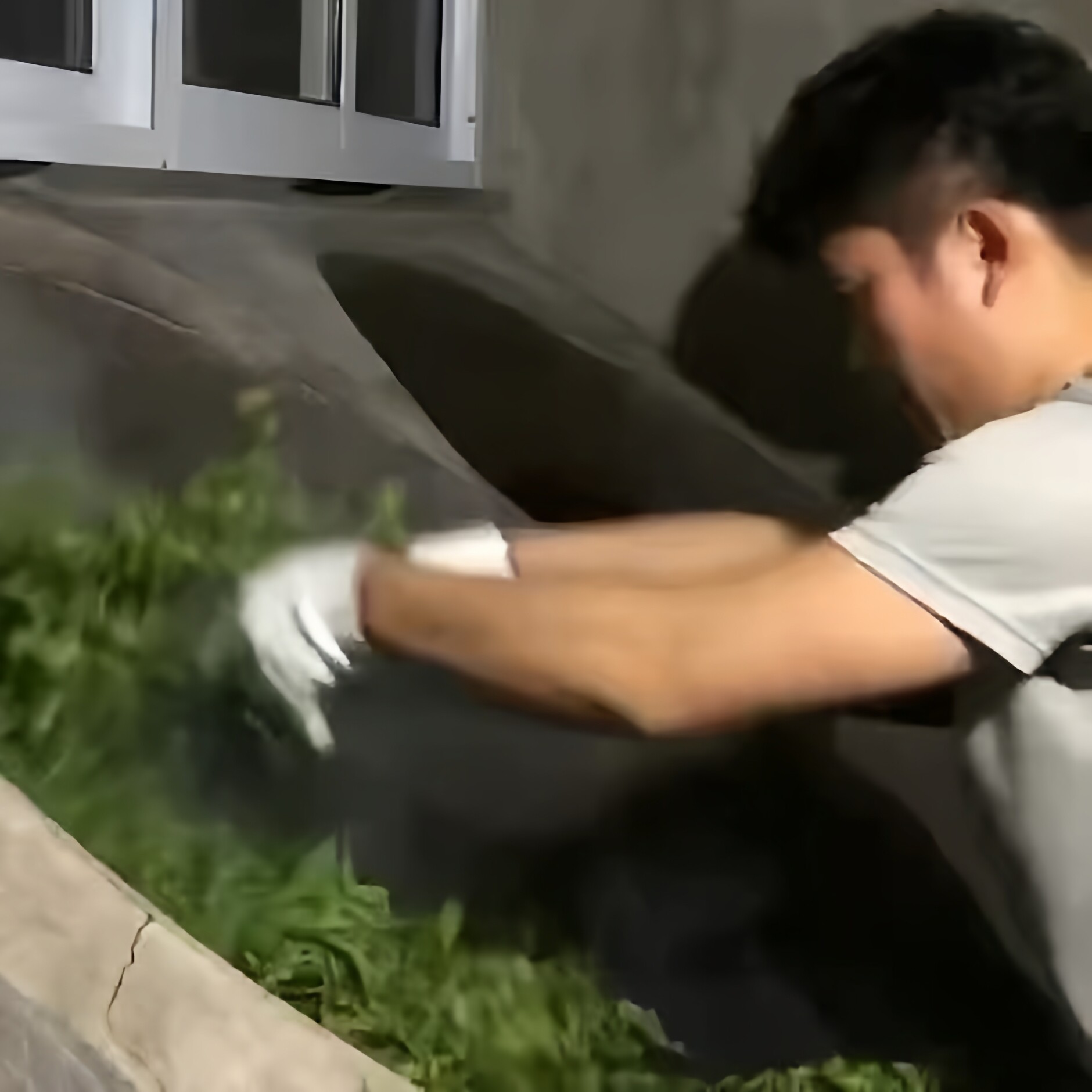 腊恩茶叶店