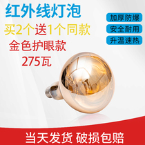 Infrared Physiotherapy Bulb 275W Home baking electric bulb Beauty House Special Beauty Hair Care Eye Bulb