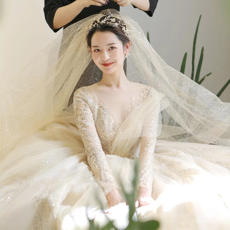 French Light Wedding Dress 2023 new bride main veil long sleeve heavy retro - tail grand tail little texture