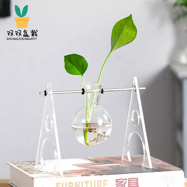 笙箫默 创意水培绿萝玻璃摆件 天猫优惠券折后￥9.8包邮（￥24.8-15）