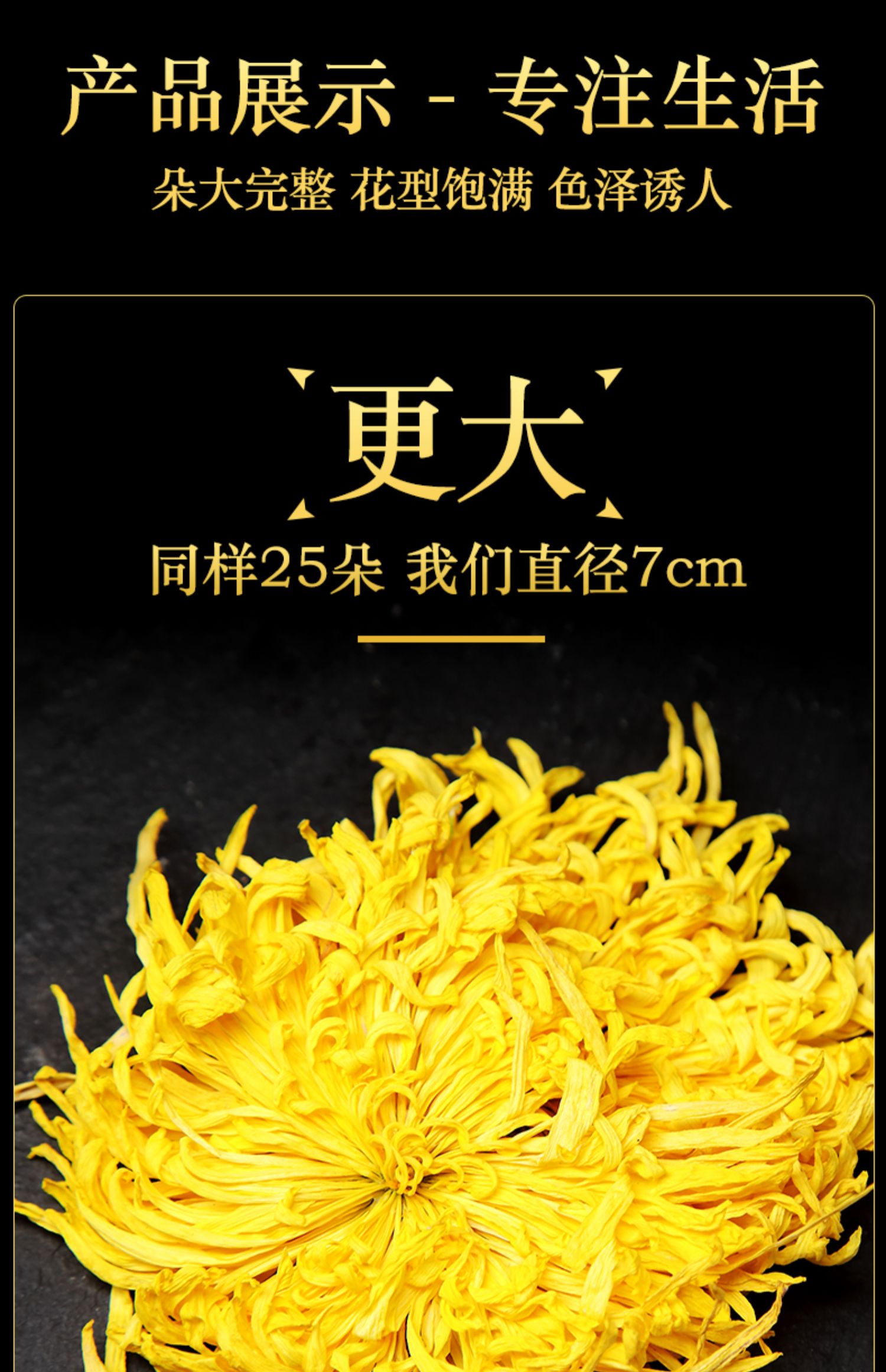 【买一送一】大朵金丝皇菊花茶