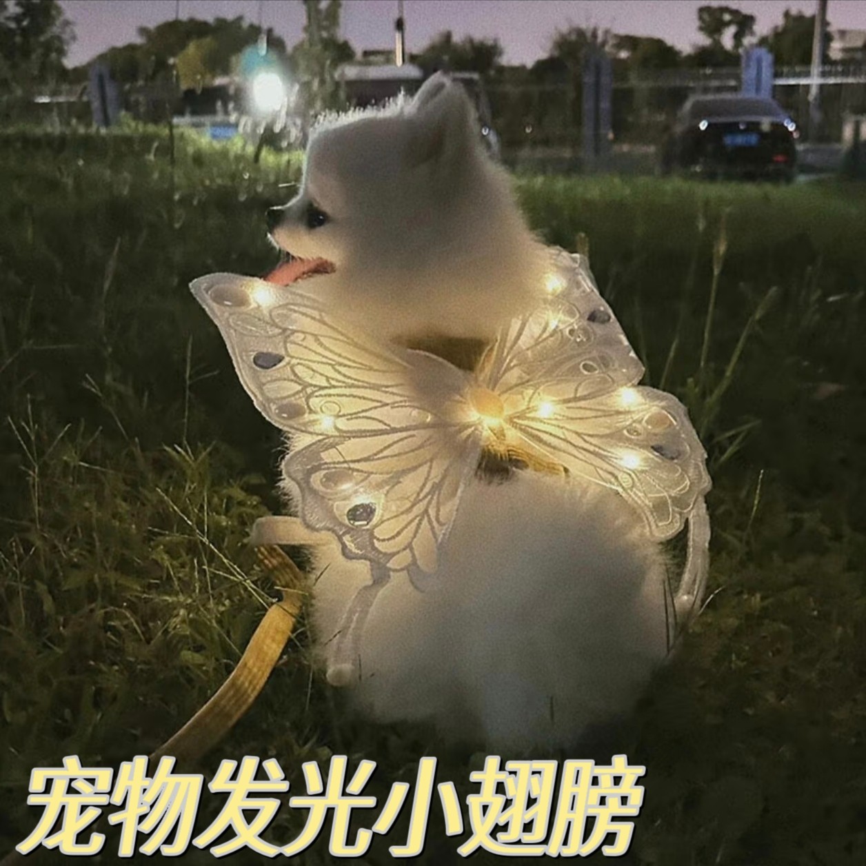 我的第一個寶貝三色邊境牧羊犬特質, image size:1256x1256
