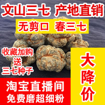 Sanqi head Yunnan Wenshan special wild 500g spring field seven 20 head 30 head 37 powder can help grinding ultra-fine powder