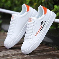 8619 Белый черный