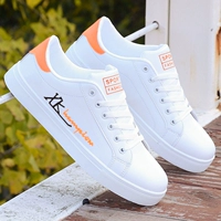 8619 Белый апельсин