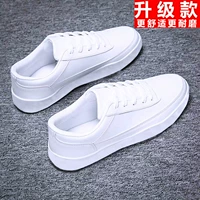 1715 белый [обновление]