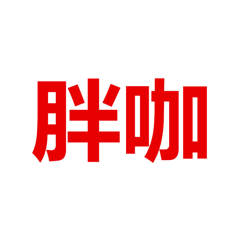 胖咖大码服饰企业店