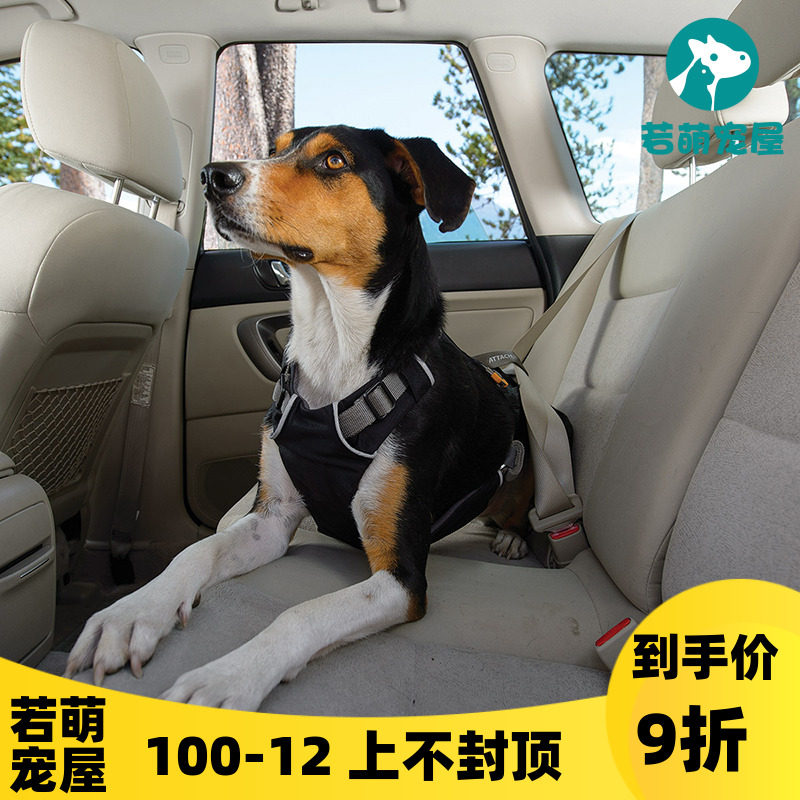 RW Lavwell Dog Car Seat Belt Backed Load Up Leash