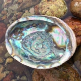 Творческая домашняя раковина, мексиканский голубой голубой ракушка жареные шалфуд -контейнер, украшение на рекрутинге офисного набора