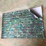 Красочная синяя -зеленый глубокий Зеландия Абалон Оболочка из оболочки можно изогнуть с помощью клея Специальное мастерство Творческие декоративные материалы