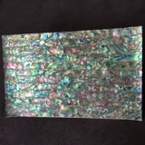 Красочная синяя -зеленый глубокий Зеландия Абалон Оболочка из оболочки можно изогнуть с помощью клея Специальное мастерство Творческие декоративные материалы