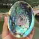 Неуможденная раковина Abalone 14-15 см 1 оригинальная оболочка