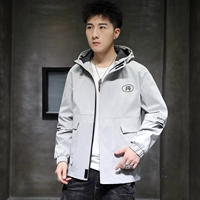 Мелкий серый