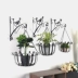 Phong cách bình dị rèn sắt sáng tạo treo tường hoa treo tường khung treo giỏ hành lang ngoài trời xanh Luo treo giỏ hoa - Kệ ke sach Kệ