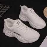 Tide, спортивная обувь, универсальная белая обувь для отдыха, 2022, осенняя, в корейском стиле, для средней школы