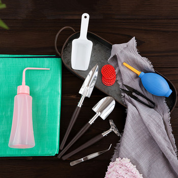 Newbie succulent plant potted tool set family