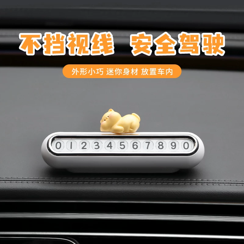 Карманная номерная plate?