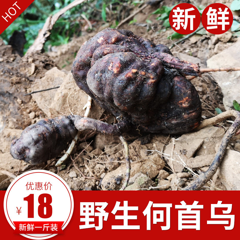 Wild fleece-flower root fresh spot 500g off raw hair white hair turns black and sparkling tea saucepan soup