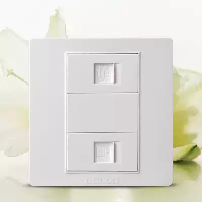 Delixi switch Wall CD301 home phone computer network interface socket network route information panel Type 86