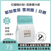 PINDA day sun light snow Tuyega snow fiery Ethiopian shallow baking hand punching single boutique coffee bean