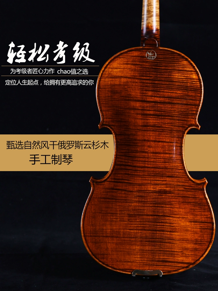 Chính hãng Taishi 2020 Classic Handmade Whole Board Violin Tiger Pattern Biểu diễn dành cho trẻ em Nhạc cụ dành cho người lớn Hạng chuyên nghiệp - Nhạc cụ phương Tây