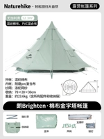 Эвкалипт-Длинный-12,3【4,15м*4,15м】