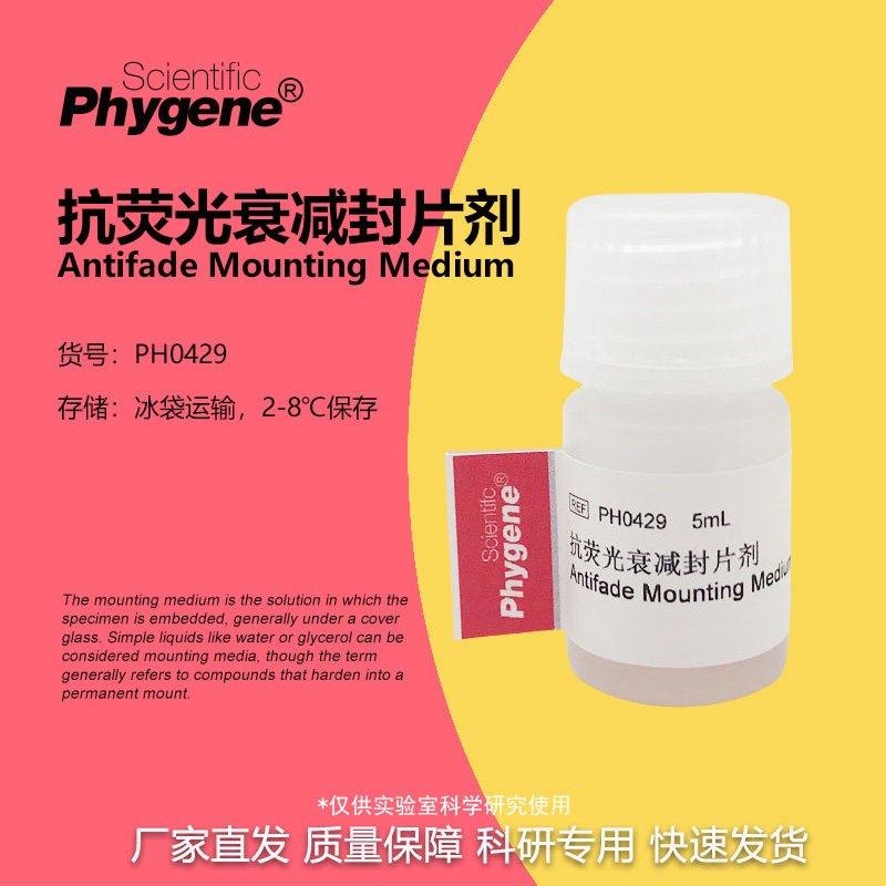 抗荧光衰减封片剂淬灭封片剂封片液封固剂 [PH0429 PHYGENE]