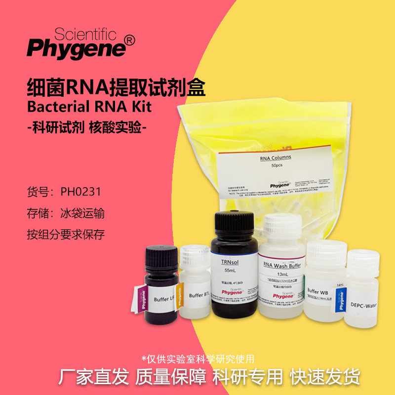 细菌RNA提取试剂盒 50T/100T 核酸提取 [PH0231 PHYGENE]