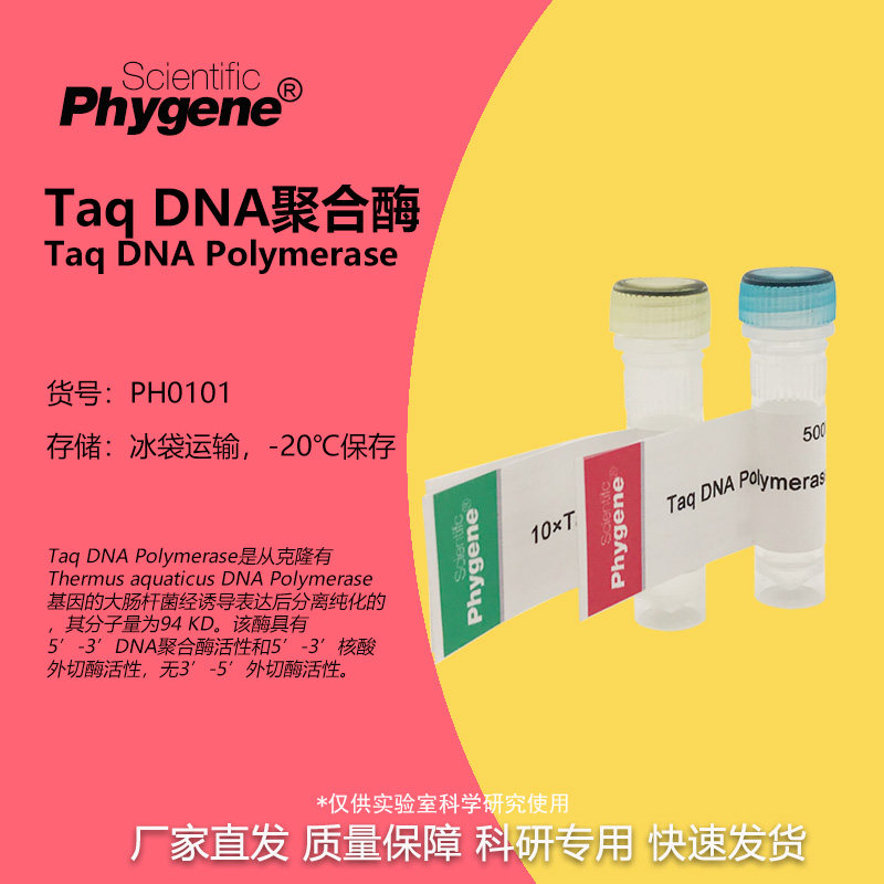 Taq DNA聚合酶 Taq DNA Polymerase 1000U [PH0101 PHYGENE]