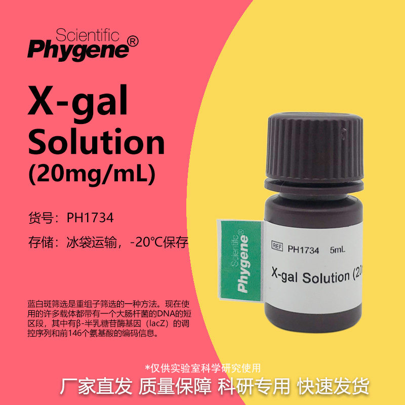 X-gal溶液 (20mg/ml) X-gal试剂 5mL 科研实验 [PH1734 PHYGENE]