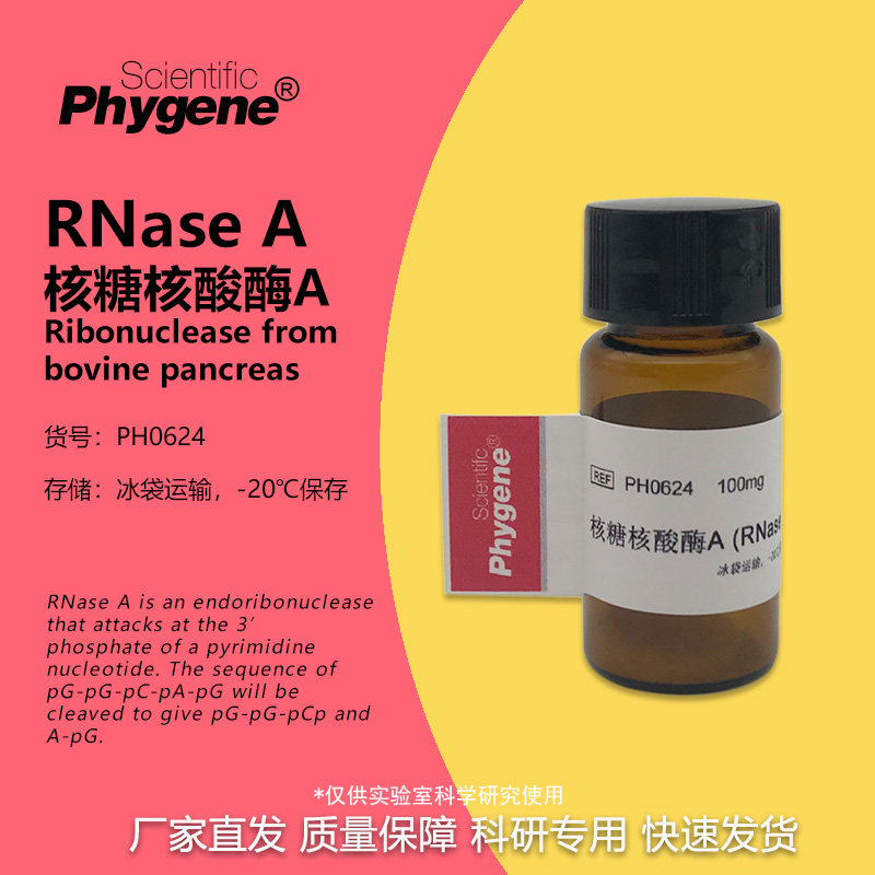 RNase A 核糖核酸酶A RNA酶 实验试剂 [PH0624 PHYGENE]